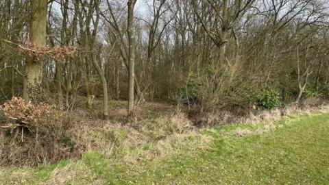 A view of one of the flood defence ponds adjacent to farm land near Burton Joyce obscured, as it blends in with the landscape.