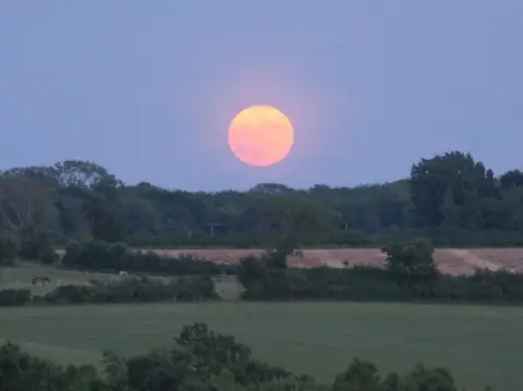 sky girl Strawberry Moon near horizon with fields in the foreground