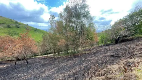 Local Democracy Reporting Service A large expanse of scorched land at the Malvern Hills.