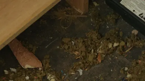 A scattered amount of debris on a tile floor. There is a piece of brick along with dust and fluff. There is a black plastic rat trap and a wooden kitchen unit.