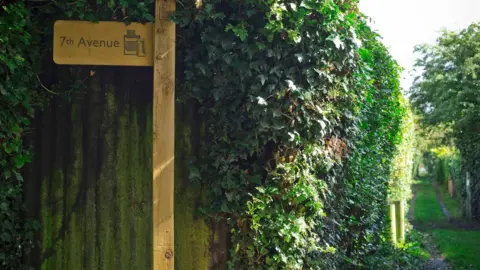 Renewal Trust St Ann's Allotments