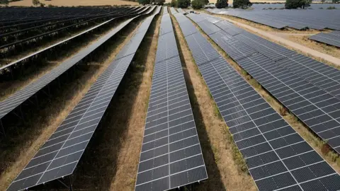 A stock photo of a solar farm.