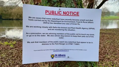 Helen Mulroy/BBC The image shows a sign nailed to a tree in Verulamium Park saying avian flu was discovered in the park by the Department for Environment, Food and Rural Affairs. 
