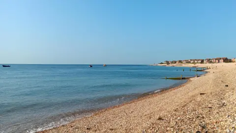 Sheila A sunny beach with groynes and a cliff in the distance - it's a sunny day without a cloud in the sky