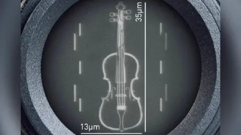 A diagram indicating the size of the violin through a microscope