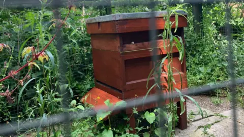 Salvatore Scotti/Spitalfields City Farm A wooden beehive at Spitalfields City Farm, behind a metal fence