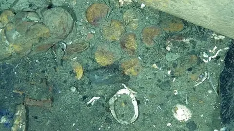 Reuters Coins lie at the bottom of the sea among the wreckage of the Spanish galleon San Jose 