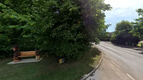 Google The animal bench is positioned on some grass in front of a tree to the left of the picture, with the main Stamford Road on the right. It is a sunny summer's day.