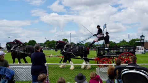 A class involving horses is held at the Suffolk Show 
