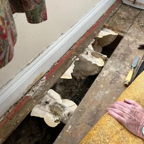 Lifted floorboards of a home show insulation and mould below the floor, with the bottom of a curtain just in view and someone's hand next to a chisel on the floor.