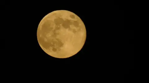 BBC Weather Watchers/Spenny seasons A bright yellow full moon in the black night sky. 
