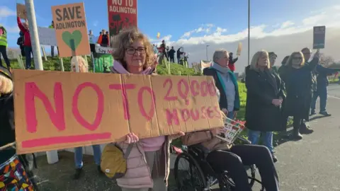 Protestors on a sunny day. A lady in the foreground holds a sign which says "no to 20,000 houses". There are other protestors with signs in the background.