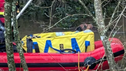 Dorset & Wiltshire Fire Service A close up image shows puppy Roxy in a yellow padded carrier. Her brown head is poking out of the front of the carrier. It is in the front of a red inflatable dinghy. You can just see a member of fire crew at the rear of the boat, dressed in red waterproofs. There are trees and branches in the foreground. 