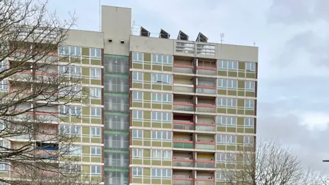 An 11-storey 1960s tower block rises into a cloudy grey sky, surrounded by bare trees.