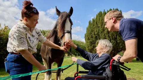 Session Arts Bomber the shire horse. He is stroked by an elderly lady who is in a wheelchair. A man and a woman are assisting. 
