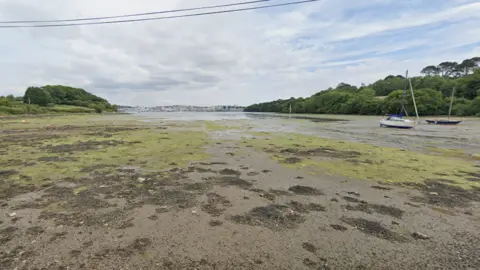 A view of Wilcove, Torpoint. The tide is out and there is a long stretch of mud and green algae. Two boats sit on the mud in the distance. There are large trees surrounding the cove.