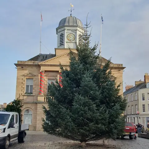 Kelso Community Council Kelso tree