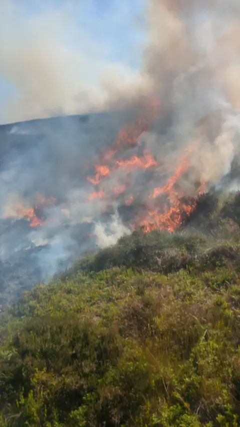 A wildfire in the Cairngorms