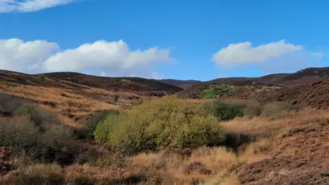 Duncan Hutt Rolling moorland hills, brown and purple in colour, with a blue sky above. 