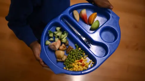 A blue tray containing a school dinner being carried by a child