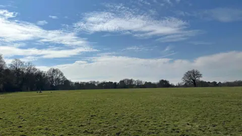 A green empty field - previously used for cattle grazing will now be planted with tree  to remember those lost during the pandemic