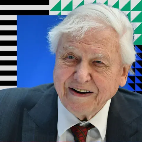 Getty Images A picture of Sir David Attenborough wearing a light shirt and jacket