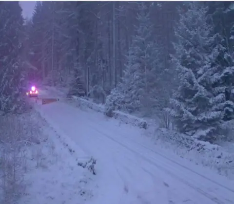 Aberdeen Travel A snow-covered country road lined with coniferous trees