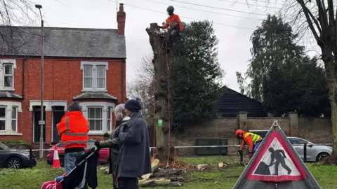 BBC A man in a high-vis jacket sits in a tree with debris and branches at the foot of it