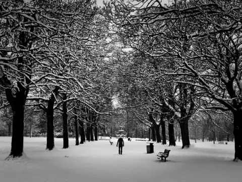 A black and white image of a woman walking through a tree-lined park in snow.