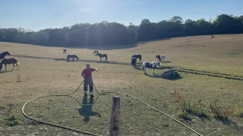 London Fire Brigade Firefighter standing in the middle of a field surrounded by horses. He is holding a hose. In the distance you can see trees. 