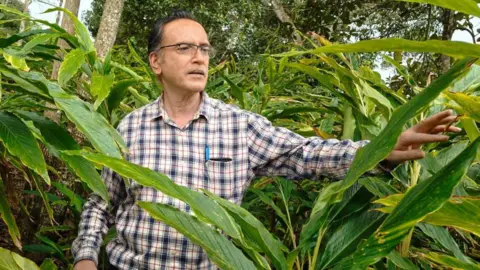Mathews Geroge Mathews Geroge stands among cardamom plants