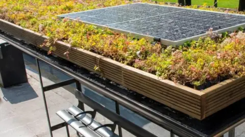 A bus shelter roof with a wooden-sided planter filled with green foliage and covered in solar panels.