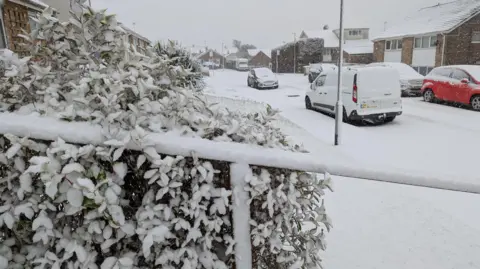 Rarelesserspotted/BBC Weather Watchers A street covered in thick snow. About two inches of snow is lying atop a metal handle rail in front of a bush, which is also covered. 