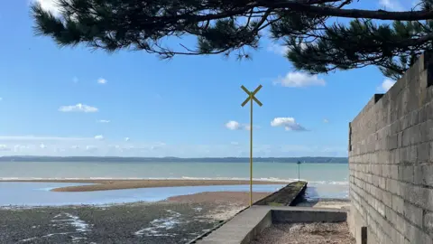 AndrewP A tree hangs over a grey wall next to a large, calm-looking body of water that stretches to a near-silhouetted stretch of land sitting on the horizon beneath a blue sky