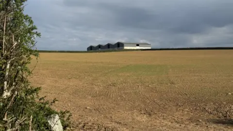 A large open brown field, which has been seeded, with a large barn in the background. There is a hedge to the left hand side 