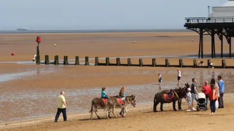 Donkey rides on the beach in Cleethorpes. There is a family standing on the sand with a pram and a child next to a donkey. The pier is in the background.