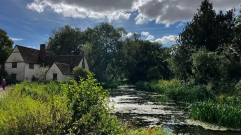 Matt Marvel/BBC An idyllic scene in Flatford, near Dedham, featuring trees and showing the River Stour and a white cottage on the left river bank. 
