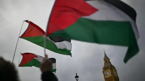 Protesters wave Palestinian flags outside Parliament