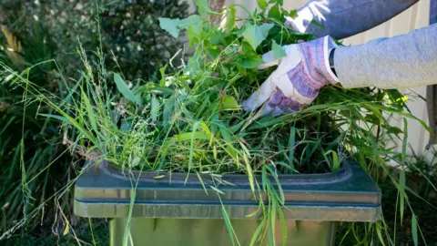 Gloved hands putting a large quantity of long grass and leaves into an open green bin
