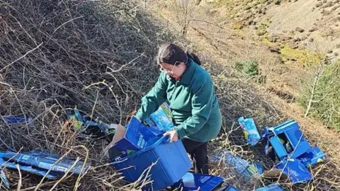 Welsh Cottage by Zina Zina Kornishina wearing a green coat, standing among brambles on a very noticeable sloping hillside.  She's carrying a blue recycling box which she's using to pick up blue cardboard boxes.  The hillside around her is strewn with blue cardboard mess.