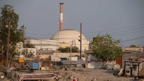 The Bushehr nuclear power plant is seen in a coastal village on the northern coast of the Gulf in Bushehr province, Iran (24 April 2024)