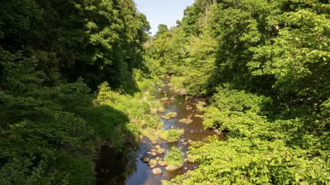 Knight Frank A small stream running through the countryside