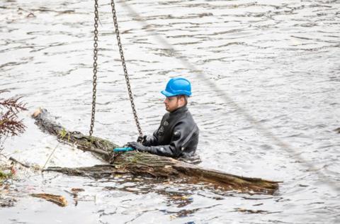 Fallen tree being removed from the weir by a specialist worker
