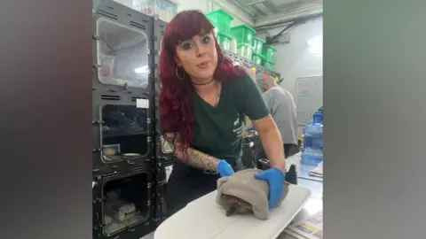 A volunteer poses for a photo inside an animal rescue facility. She is holding a hedgehog wrapped in a towel in her hands. 