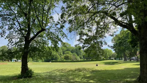 A public park, with a gently sloping wide grassy area bordered by trees