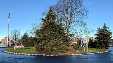 Hull City Council The roundabout on Cottingham Road in Hull it has trees in the middle and an advertising sign and road sign