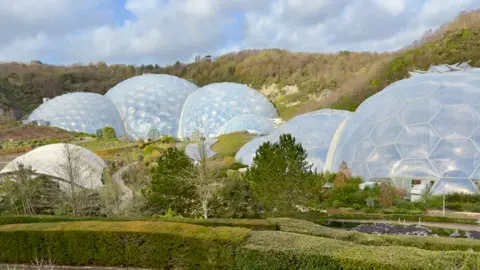 A picture of the domes at the Eden Project. There is a number of trees and hedges surrounding the site.