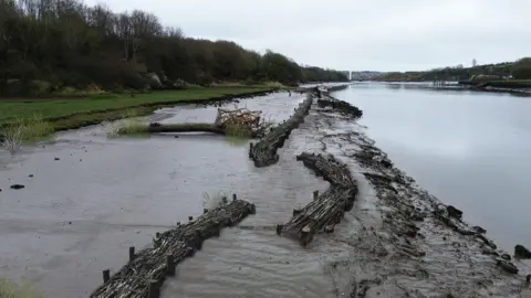 CBEC Visualisations for the Wear sites showing what the proposed brushwood bundles would look like at Baron’s Quay.