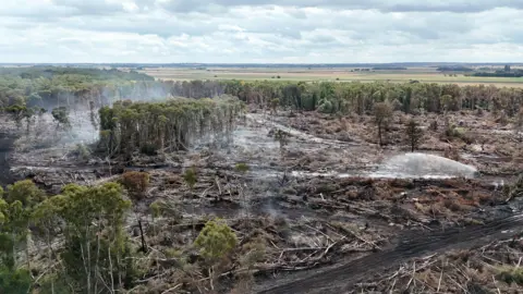 Holme Fen fire