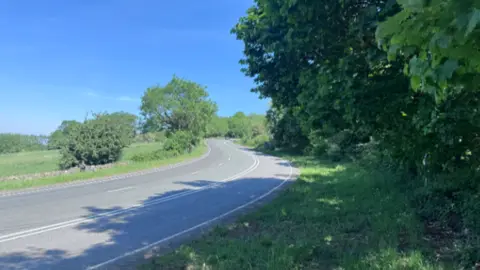 A long, winding main road at Fish Hill. There are tree on either side.